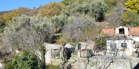 Ruins with sea view Djenovici, Herceg Novi